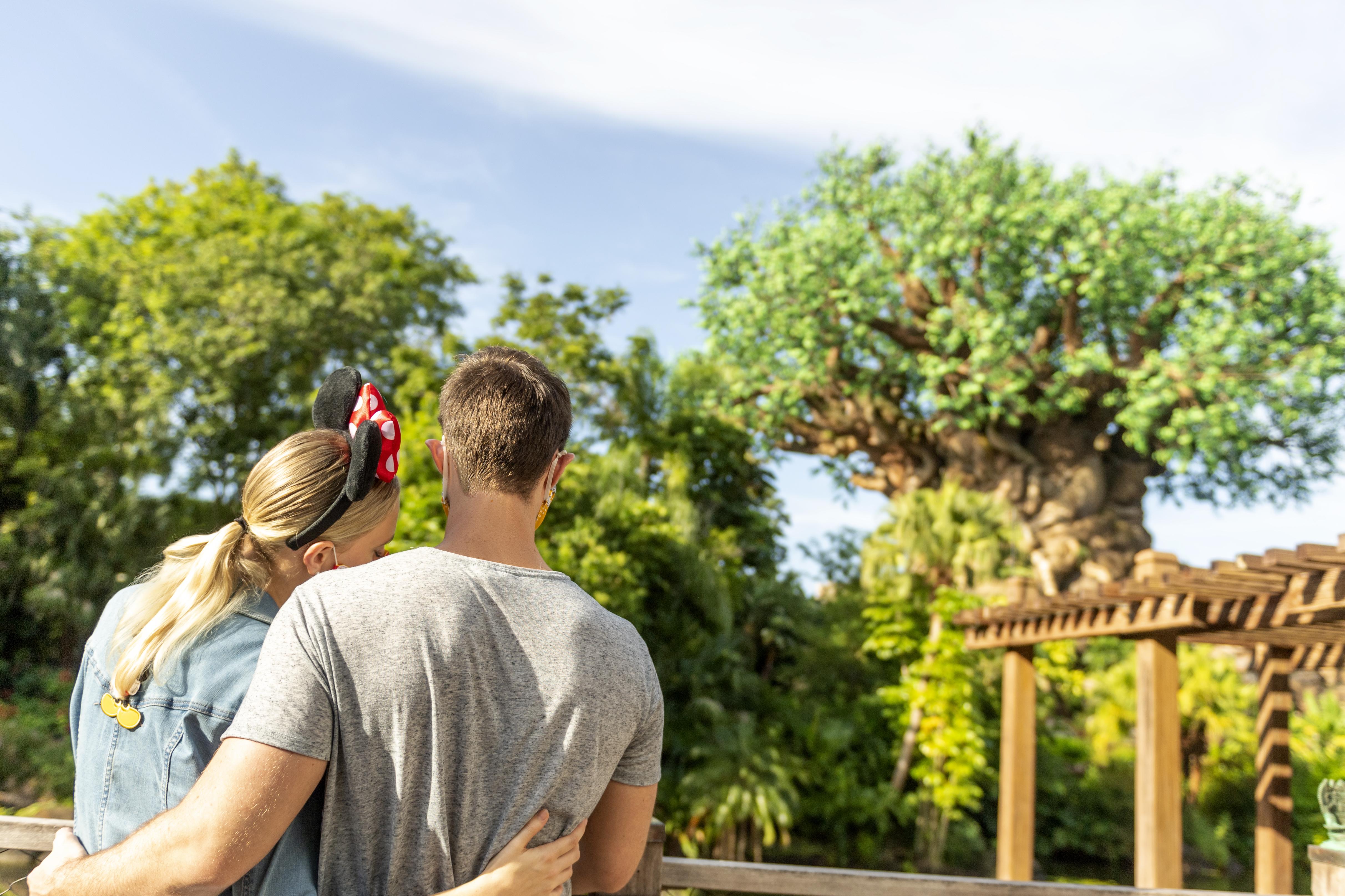 Disney'S Animal Kingdom Lodge Four Corners ภายนอก รูปภาพ