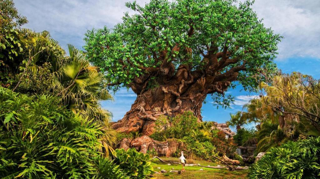 Disney'S Animal Kingdom Lodge Four Corners ภายนอก รูปภาพ