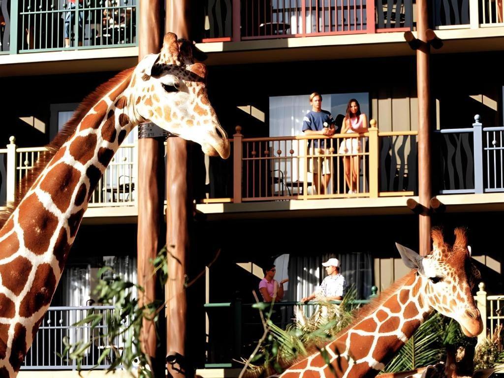 Disney'S Animal Kingdom Lodge Four Corners ภายนอก รูปภาพ