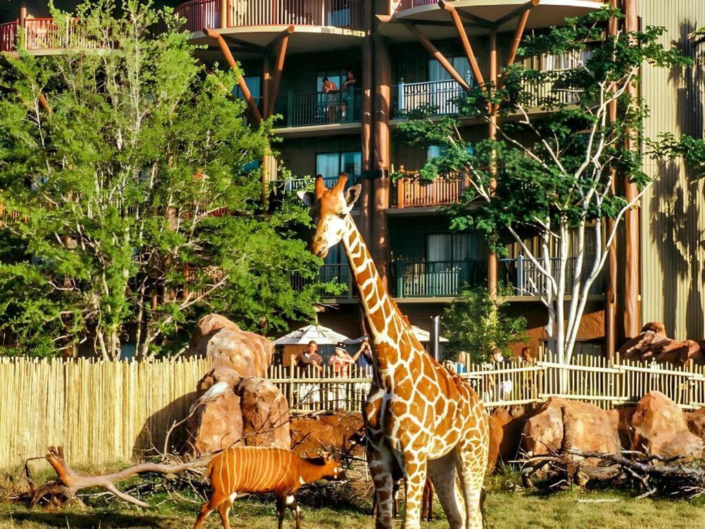 Disney'S Animal Kingdom Lodge Four Corners ภายนอก รูปภาพ