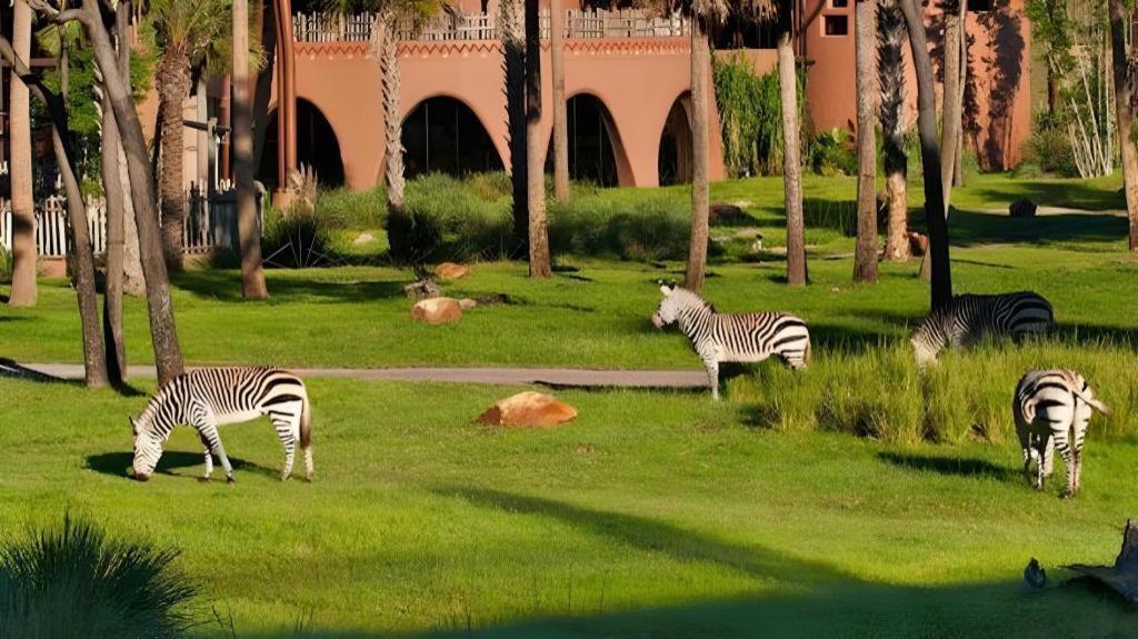 Disney'S Animal Kingdom Lodge Four Corners ภายนอก รูปภาพ